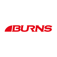 Burns