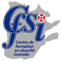 CFSI
