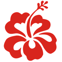 hibiscus flower
