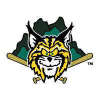 Lynchburg Hillcats
