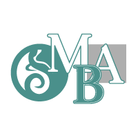 MBA HSE