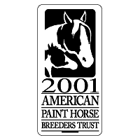 Paint Horse