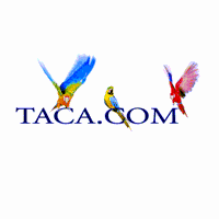 TACA Air Lines