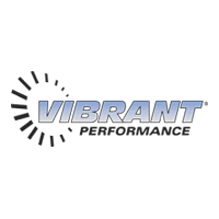 Vibrant Performance