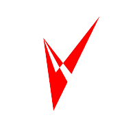 Vigos AG