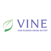 Vine