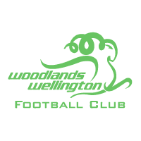 Wellington Woodlands Football Club
